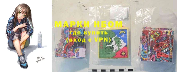 индика Богородск