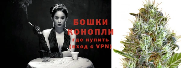 индика Богородск