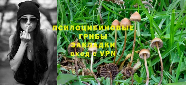 СК Богородицк