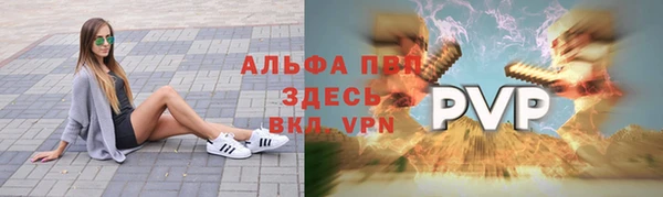 индика Богородск