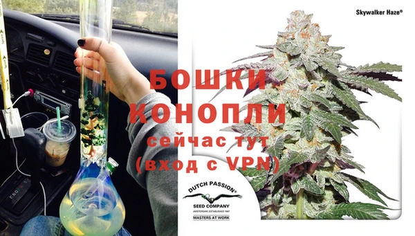 прущие крисы Белоозёрский