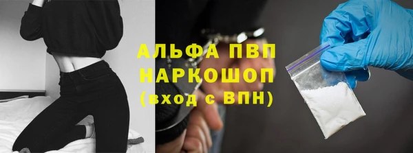 индика Богородск