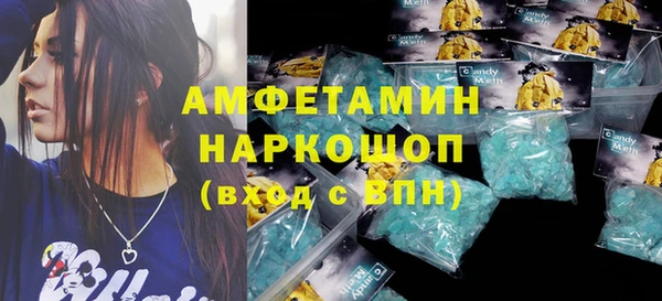 индика Богородск