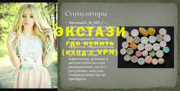 индика Богородск