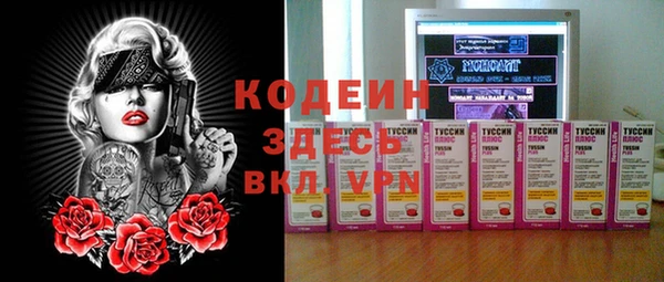 индика Богородск