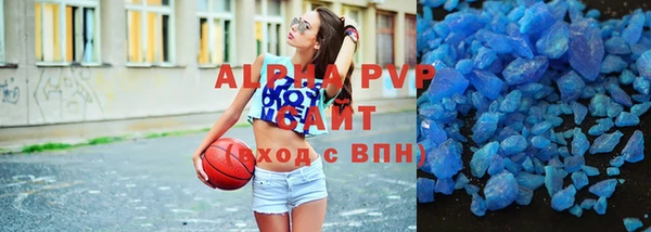 индика Богородск