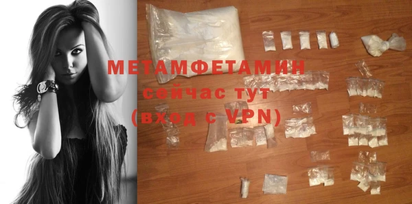 индика Богородск