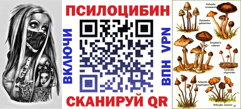 Купить закладки  Химки  Псилоцибиновые грибы MAGIC MUSHROOMS 
