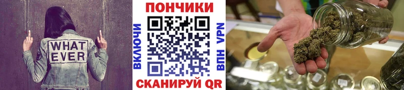 Купить где  Химки  Марихуана SATIVA & INDICA 
